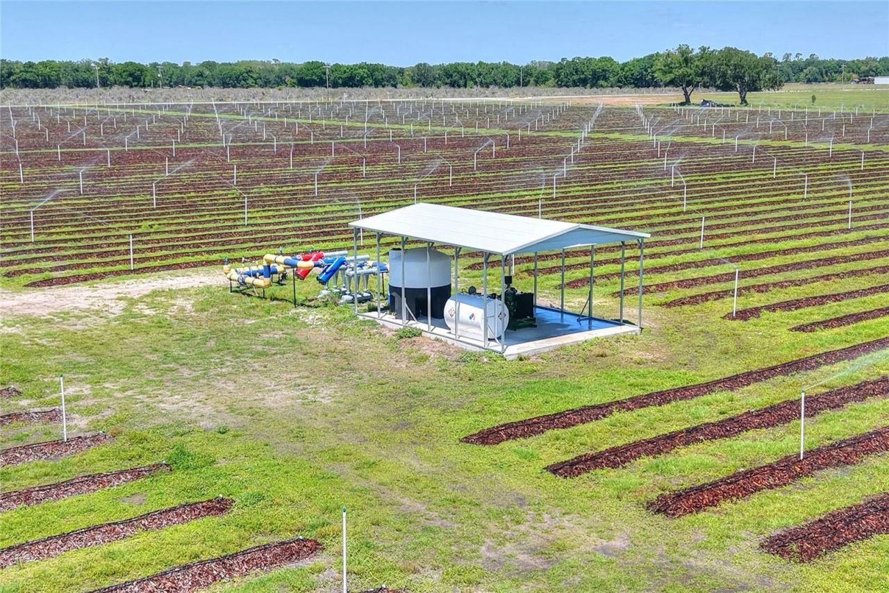 3674 E State Road 64, Zolfo Springs, FL 33890 Photo