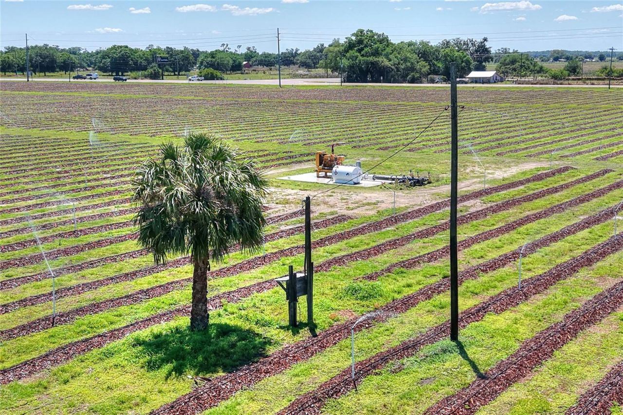 3674 E State Road 64, Zolfo Springs, FL 33890 Photo