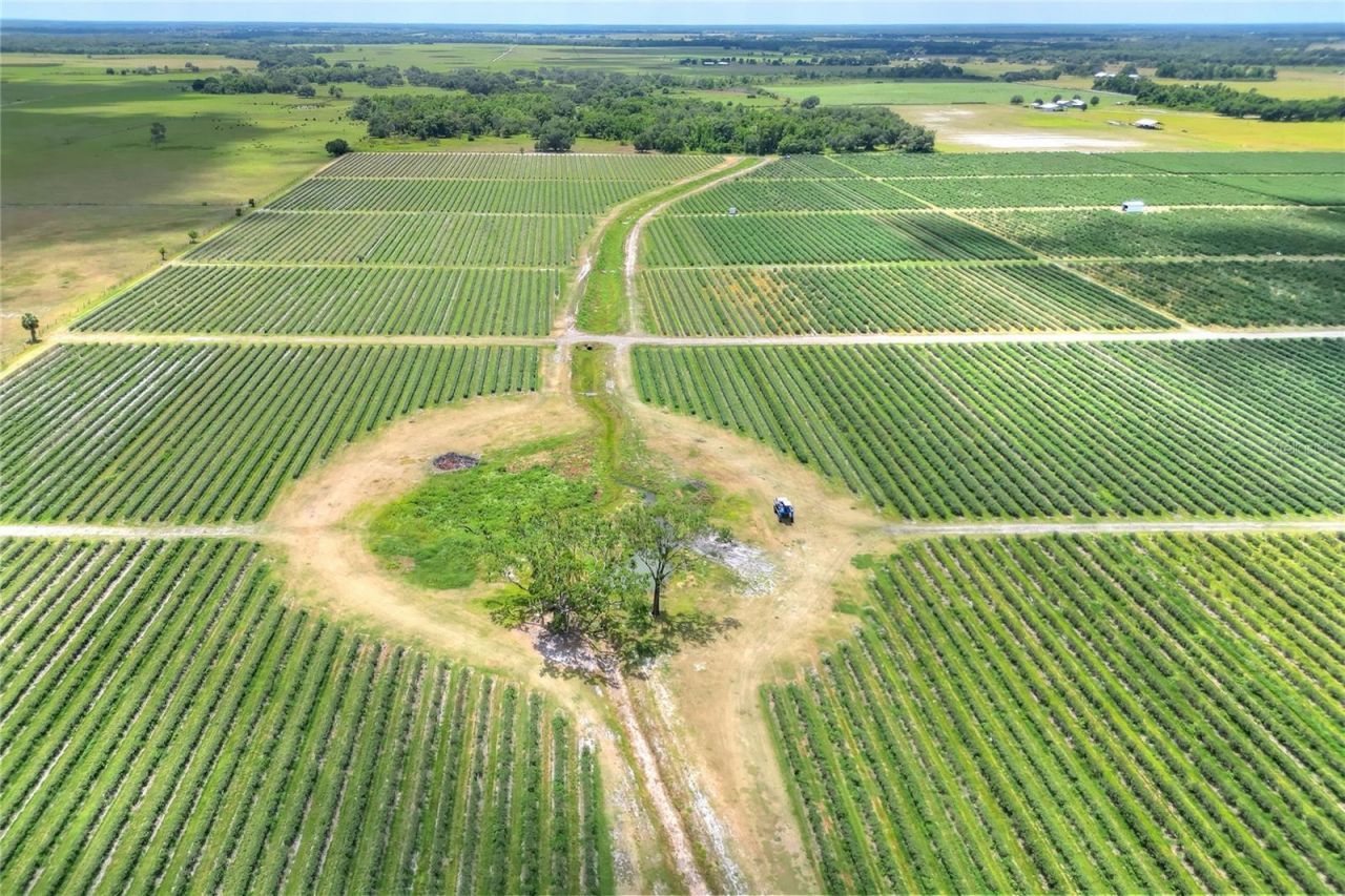 3674 E State Road 64, Zolfo Springs, FL 33890 Photo