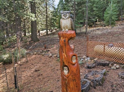 1017 Timber Ridge Road , Lake Almanor, CA 96137 Photo