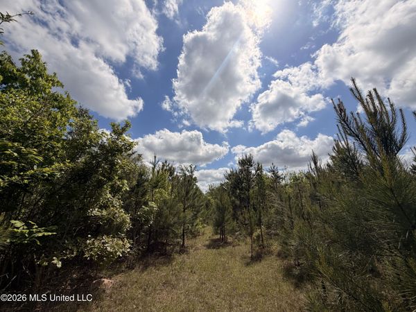 93 Hammond Road, Monticello, MS 39654