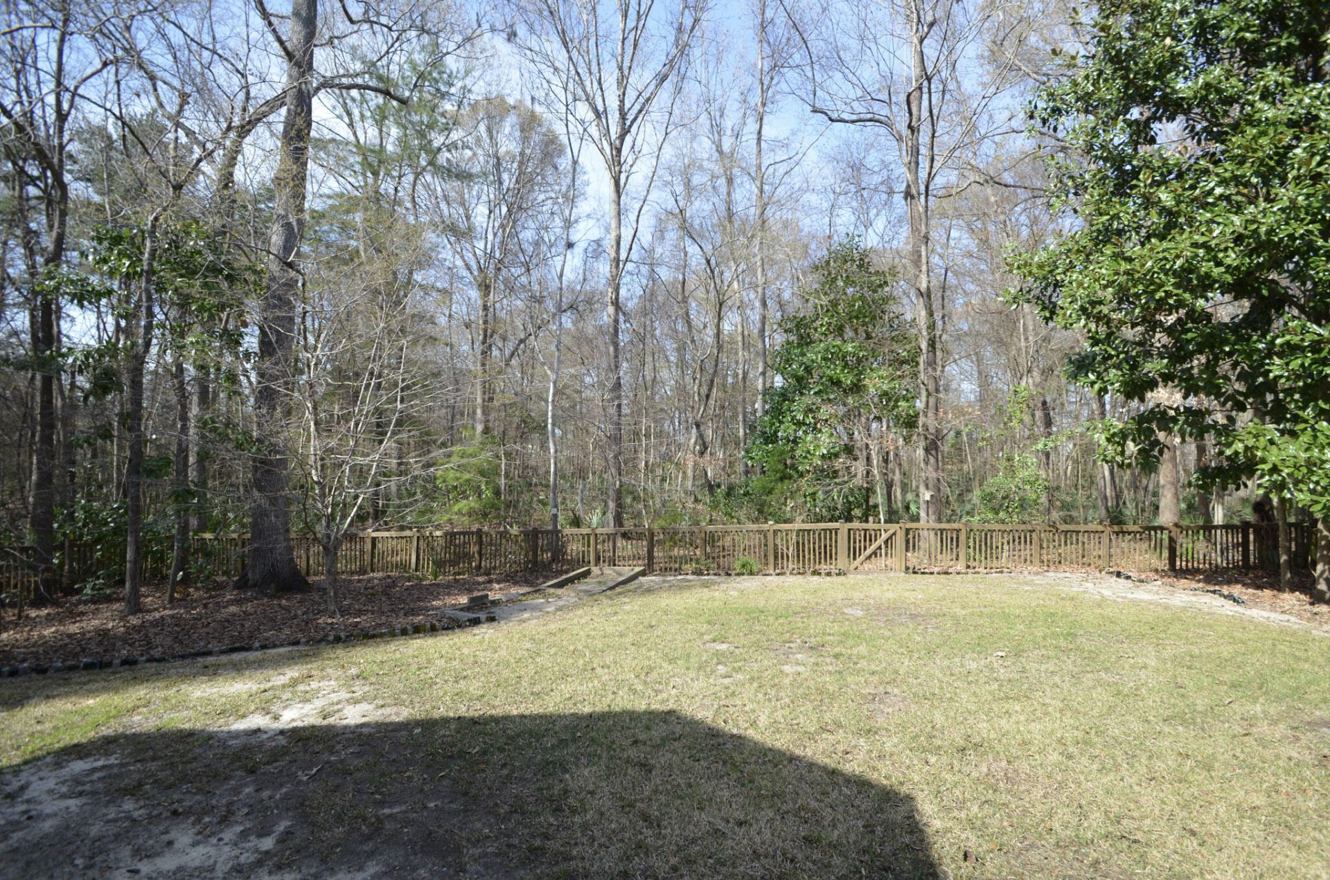 1811 Luna Court Photo 8