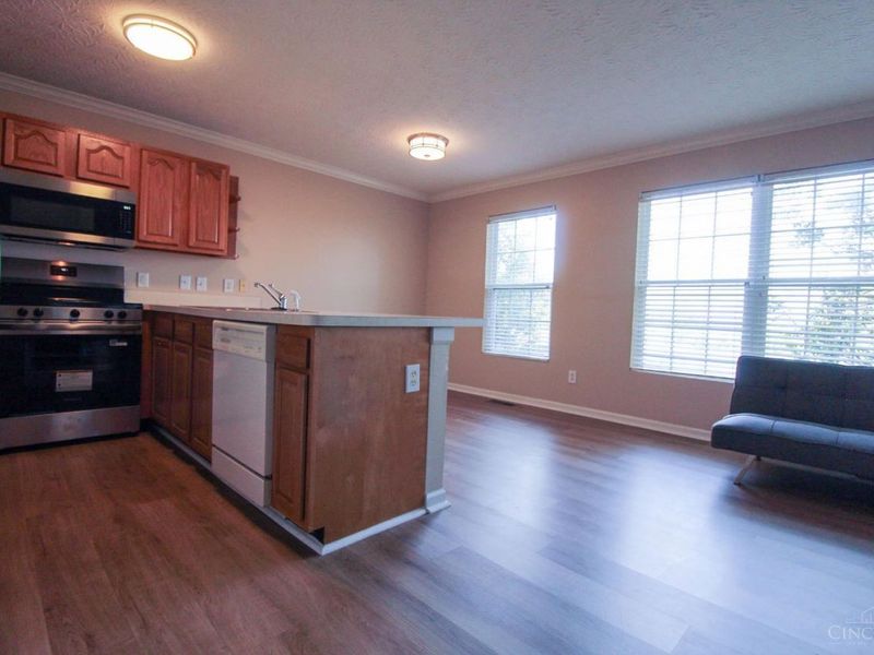 2531 Ravine Street, Cincinnati, OH 45219 Photo 3