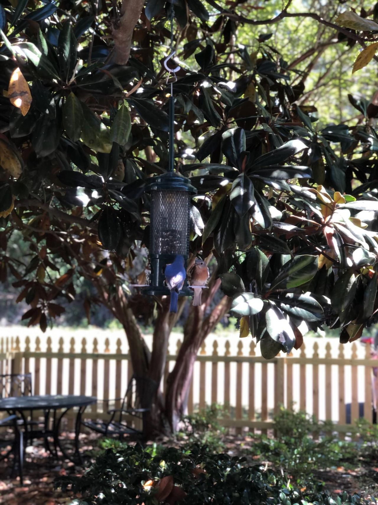 3344 Billings Street Photo 31