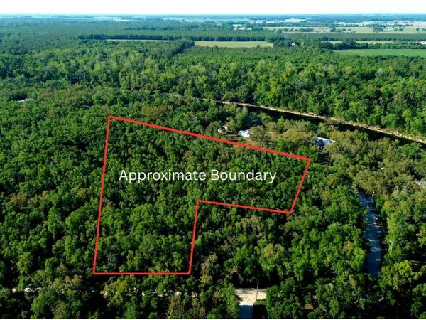 TBD NE TANSY RD/TRESTLE DR, Mayo, FL 32066