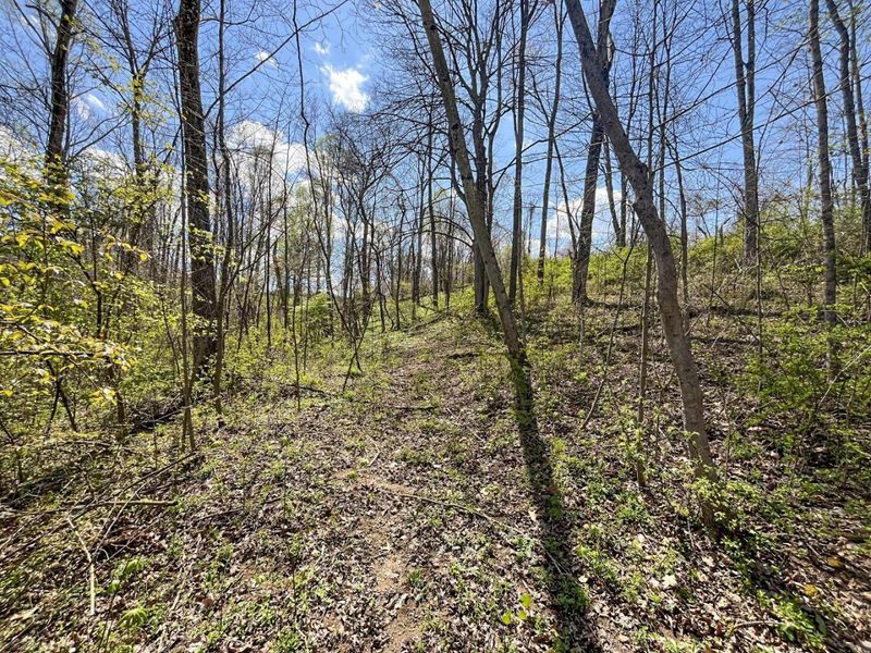 0 Waterworks Hill Road, Glouster, OH 45732 Photo 10