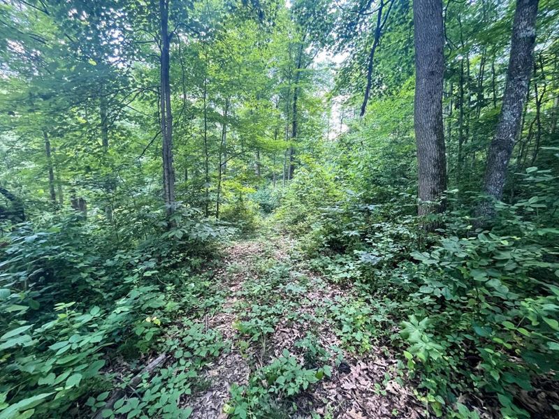 0 Waterworks Hill Road, Glouster, OH 45732 Photo 10
