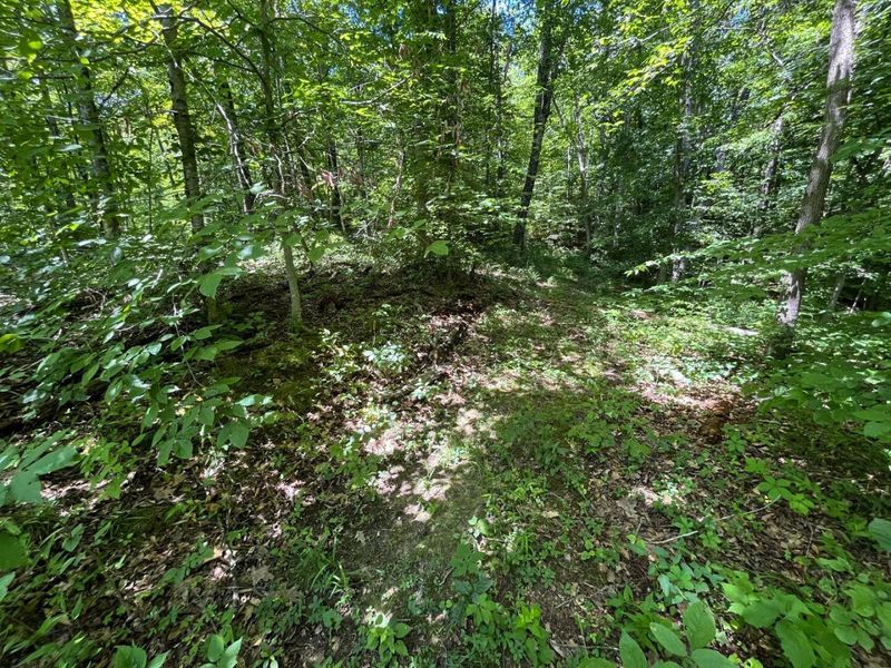 0 Waterworks Hill Road, Glouster, OH 45732 Photo 11