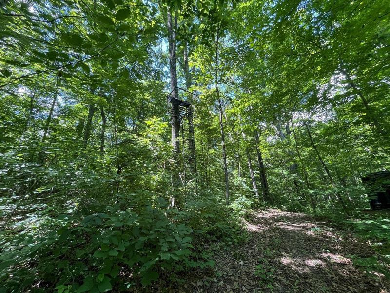 0 Waterworks Hill Road, Glouster, OH 45732 Photo 12