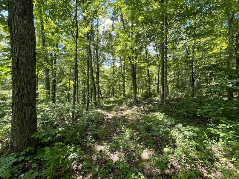 0 Waterworks Hill Road, Glouster, OH 45732 Photo 13