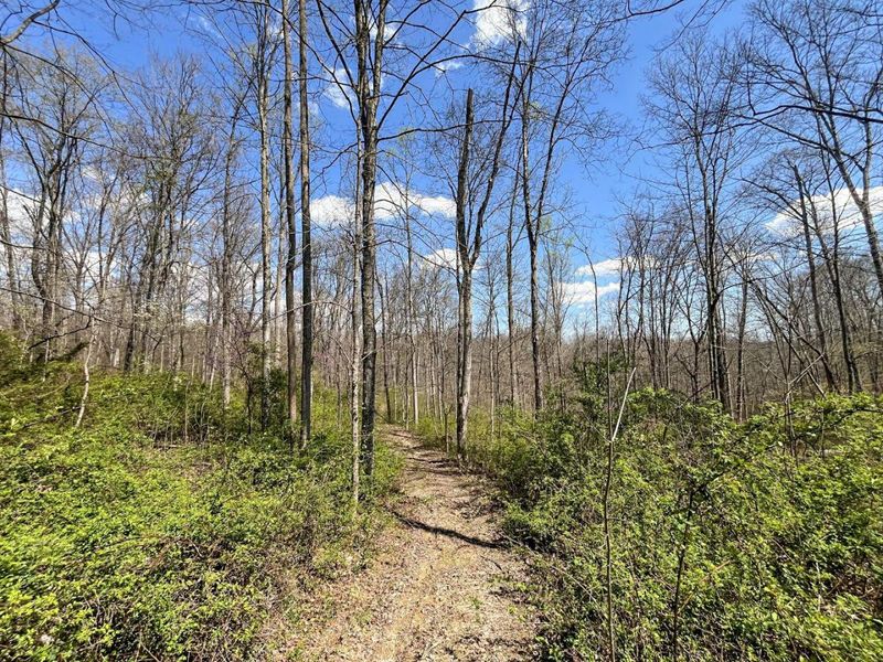 0 Waterworks Hill Road, Glouster, OH 45732 Photo 14