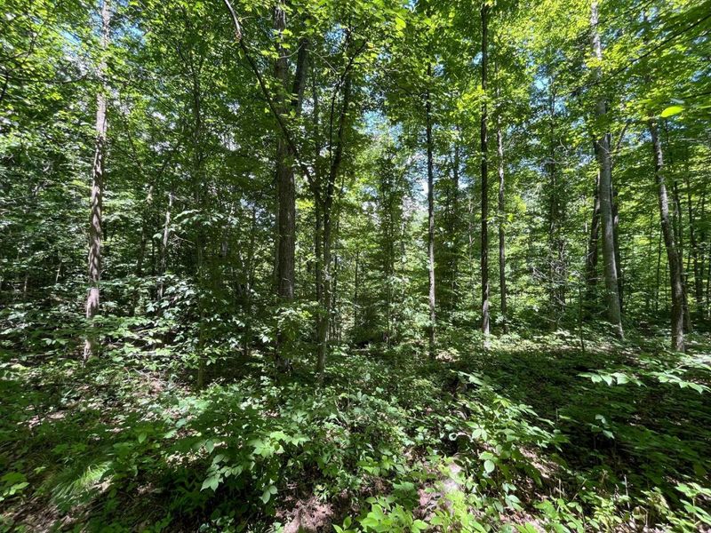 0 Waterworks Hill Road, Glouster, OH 45732 Photo 14