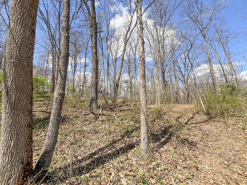 0 Waterworks Hill Road, Glouster, OH 45732 Photo 15