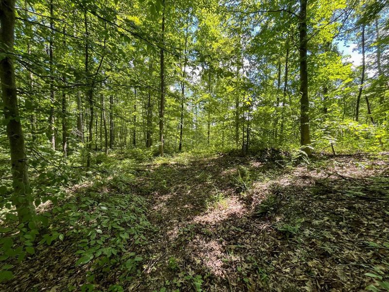 0 Waterworks Hill Road, Glouster, OH 45732 Photo 15
