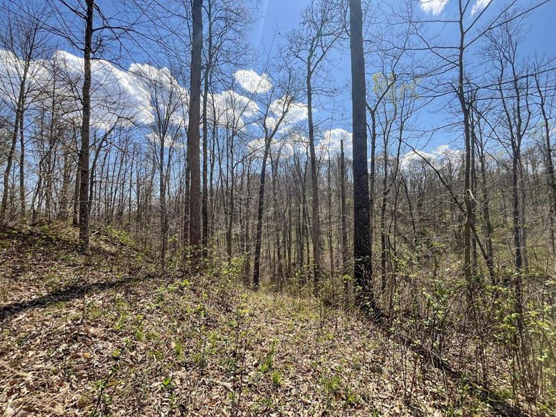 0 Waterworks Hill Road, Glouster, OH 45732 Photo 16