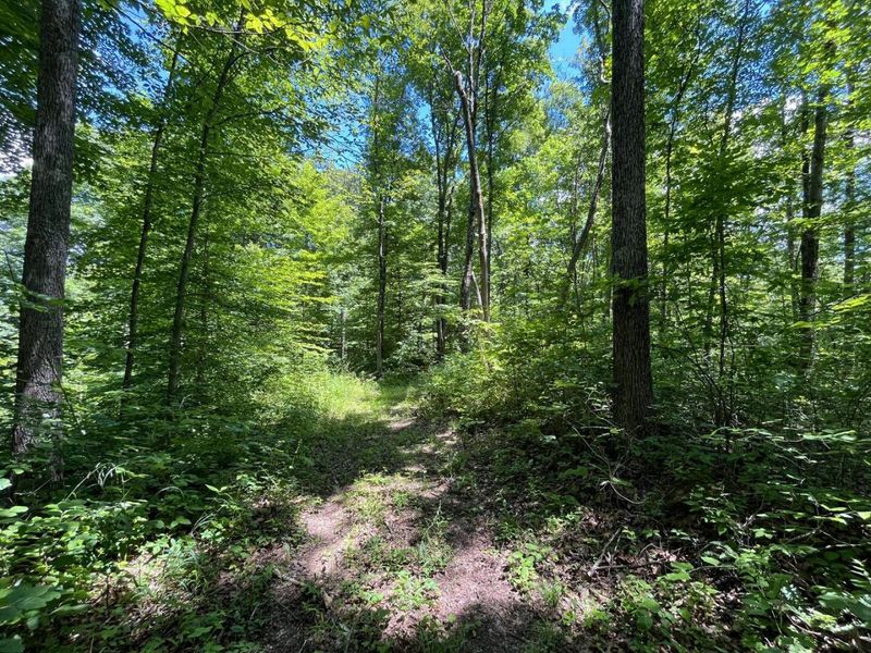 0 Waterworks Hill Road, Glouster, OH 45732 Photo 16