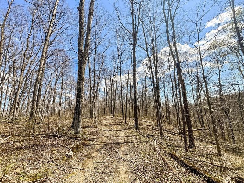 0 Waterworks Hill Road, Glouster, OH 45732 Photo 17