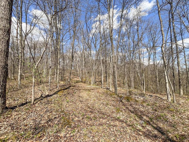 0 Waterworks Hill Road, Glouster, OH 45732 Photo 18