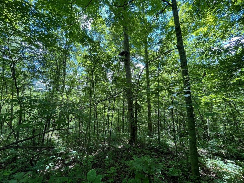 0 Waterworks Hill Road, Glouster, OH 45732 Photo 19
