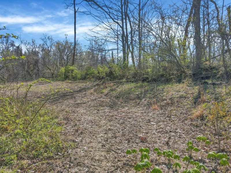 0 Waterworks Hill Road, Glouster, OH 45732 Photo 20