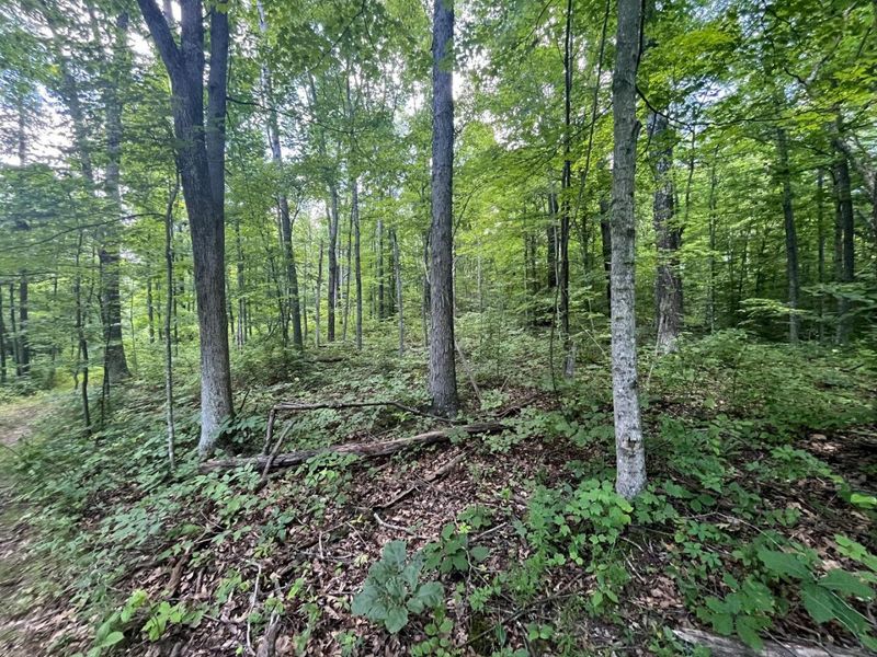0 Waterworks Hill Road, Glouster, OH 45732 Photo 22
