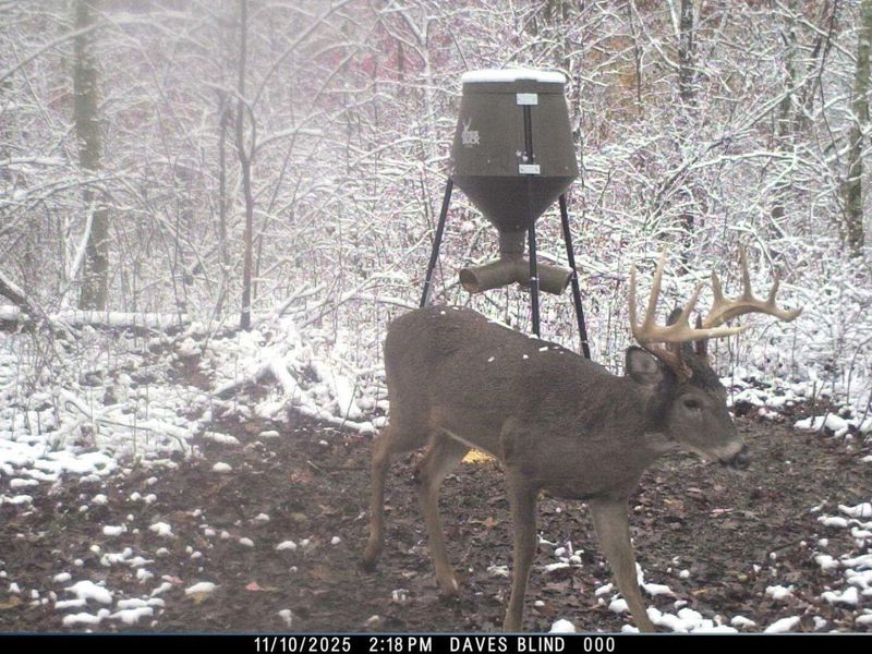 0 Waterworks Hill Road, Glouster, OH 45732 Photo 25