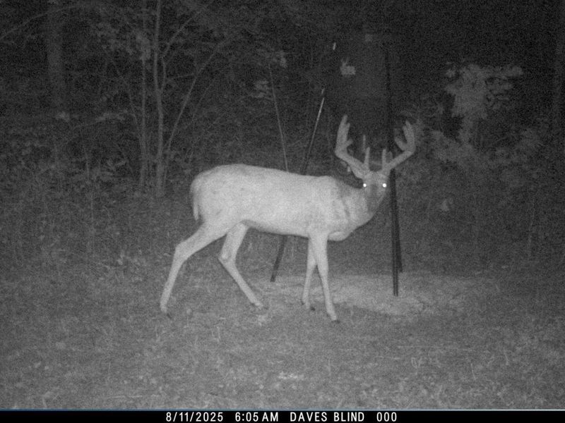 0 Waterworks Hill Road, Glouster, OH 45732 Photo 26