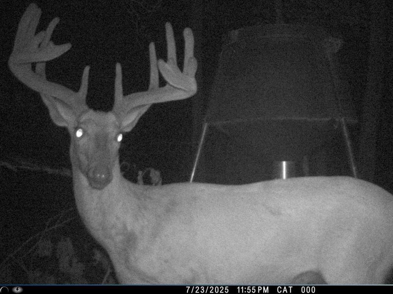 0 Waterworks Hill Road, Glouster, OH 45732 Photo 27