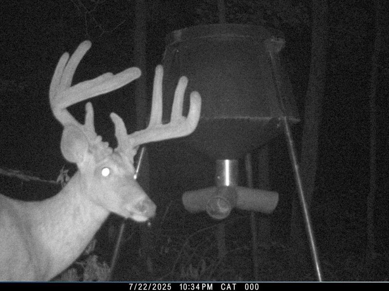 0 Waterworks Hill Road, Glouster, OH 45732 Photo 28