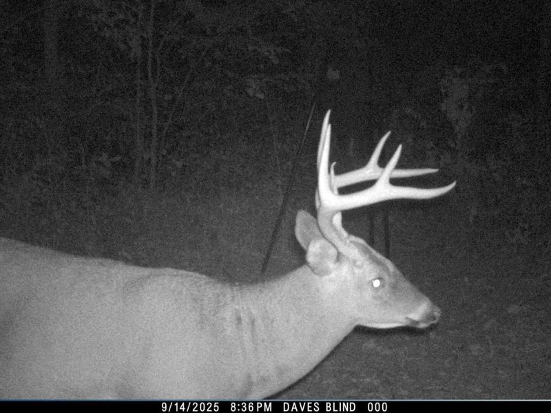 0 Waterworks Hill Road, Glouster, OH 45732 Photo 29