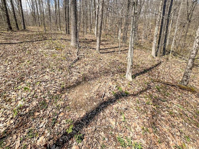 0 Waterworks Hill Road, Glouster, OH 45732 Photo 3