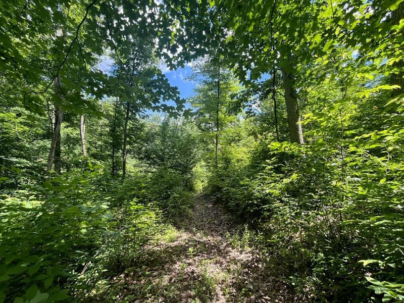 0 Waterworks Hill Road, Glouster, OH 45732 Photo 3