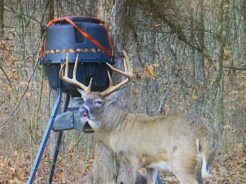 0 Waterworks Hill Road, Glouster, OH 45732 Photo 30