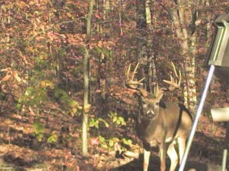 0 Waterworks Hill Road, Glouster, OH 45732 Photo 31