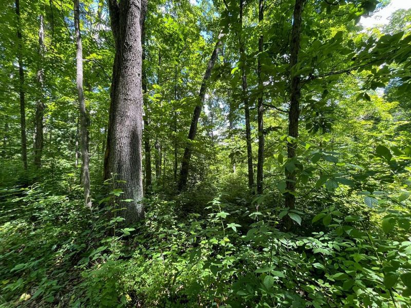 0 Waterworks Hill Road, Glouster, OH 45732 Photo 5
