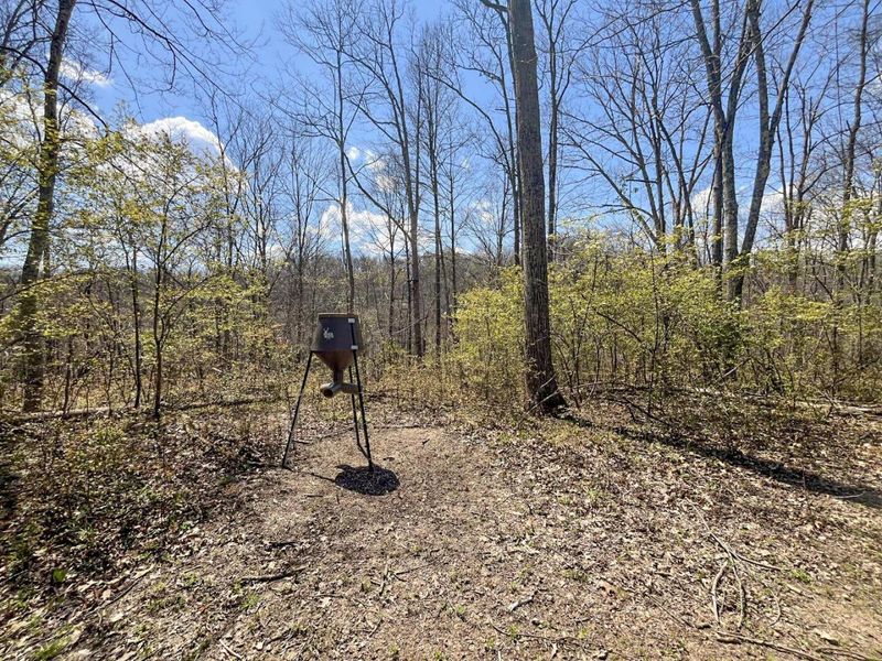 0 Waterworks Hill Road, Glouster, OH 45732 Photo 6