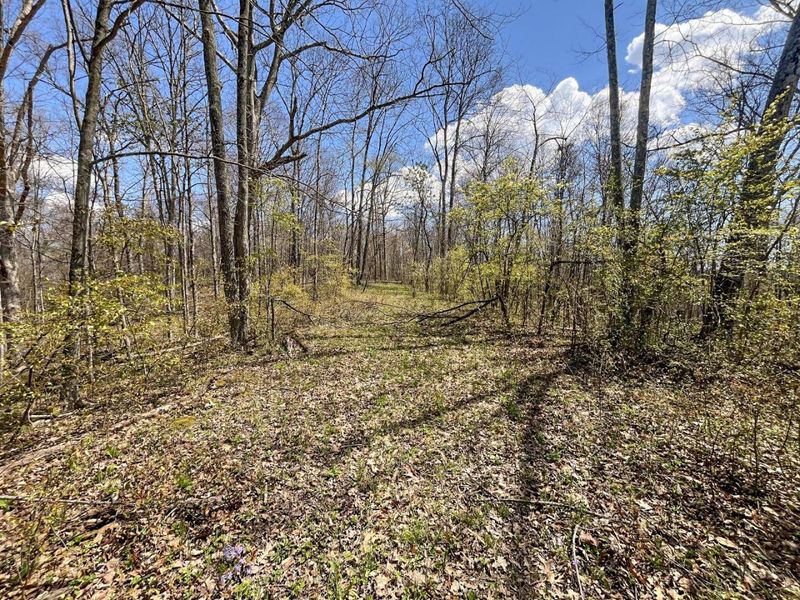 0 Waterworks Hill Road, Glouster, OH 45732 Photo 7