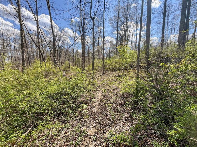 0 Waterworks Hill Road, Glouster, OH 45732 Photo 8