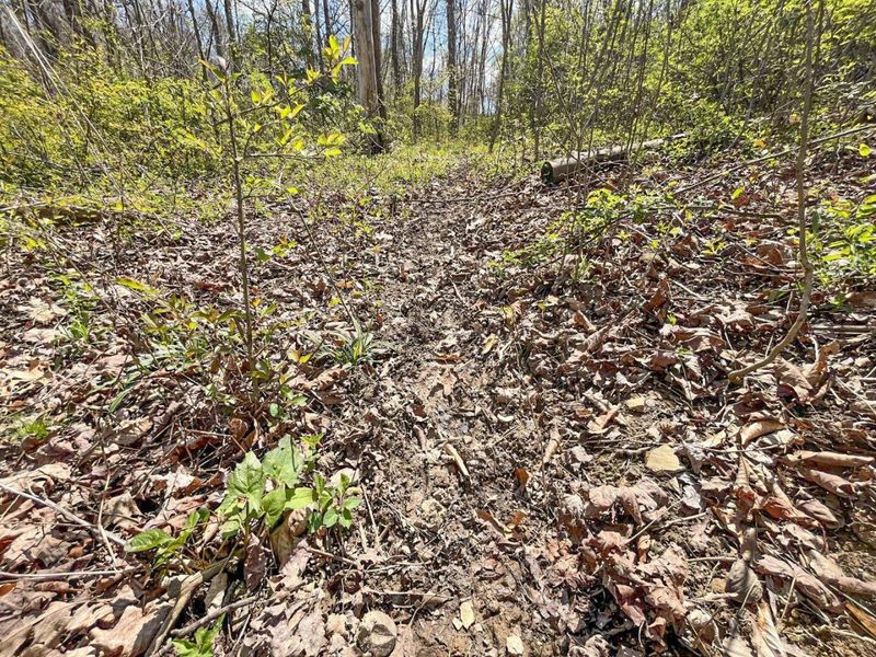 0 Waterworks Hill Road, Glouster, OH 45732 Photo 9