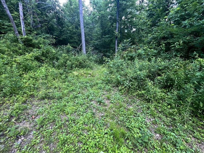 0 Waterworks Hill Road, Glouster, OH 45732 Photo 9