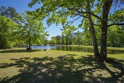 540 Little Creek Drive  photo 4