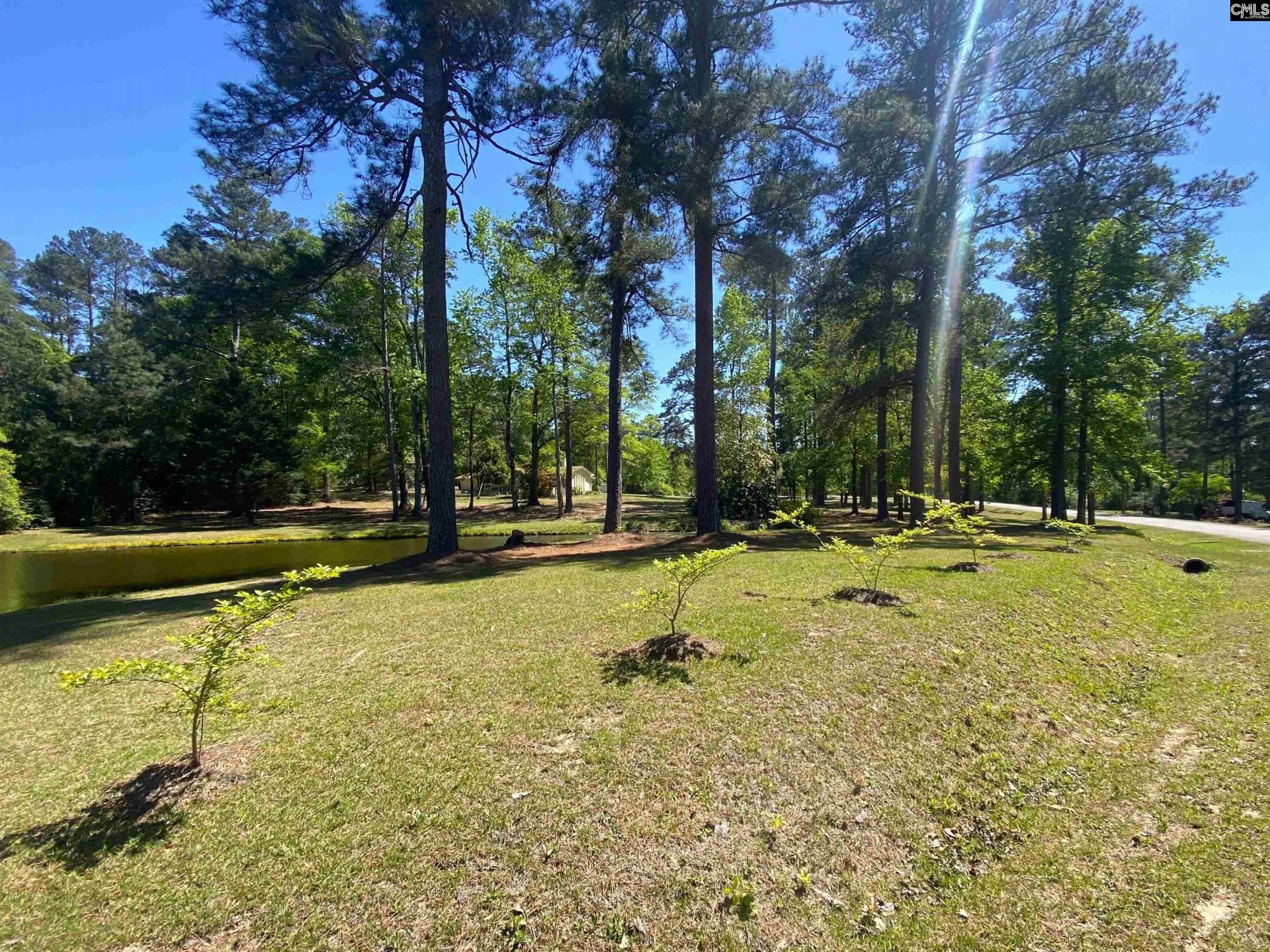 540 Little Creek Drive  Photo 53