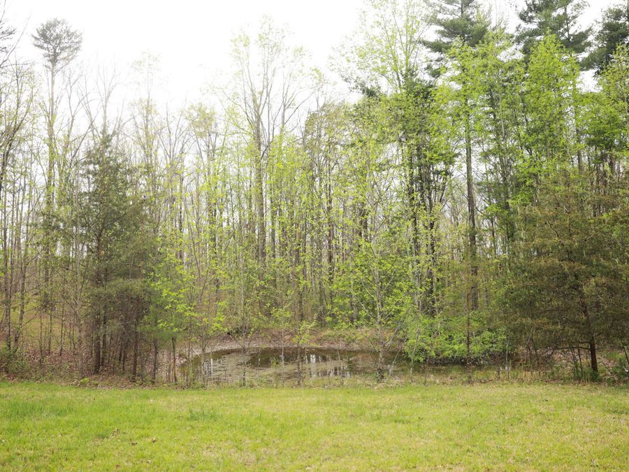 Property Image 36