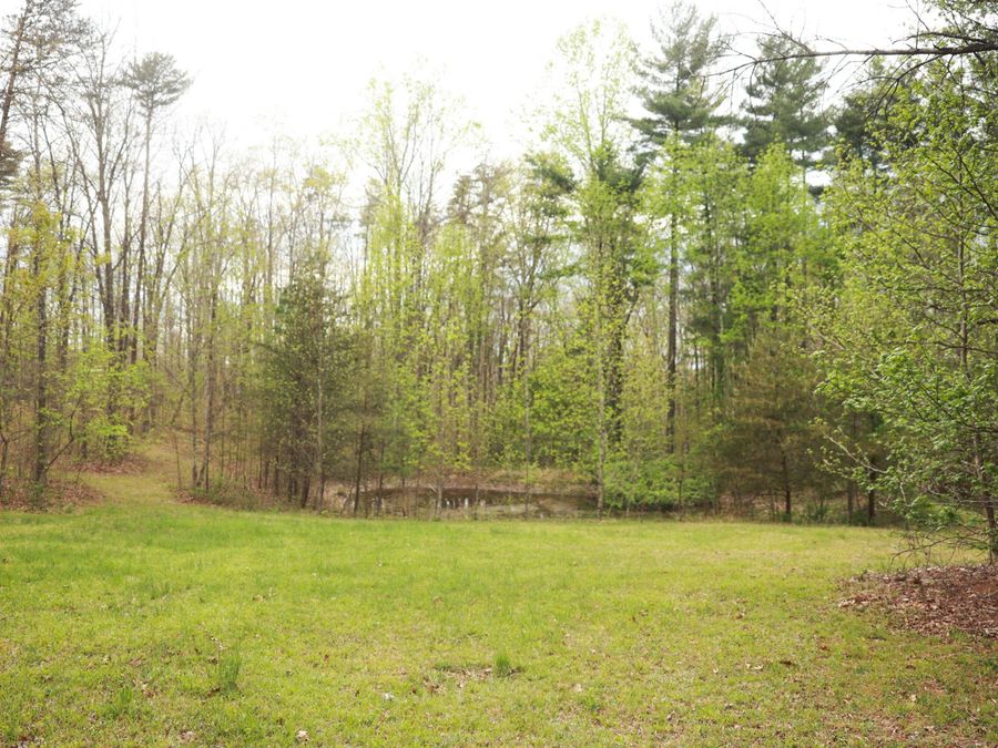 Property Image 37