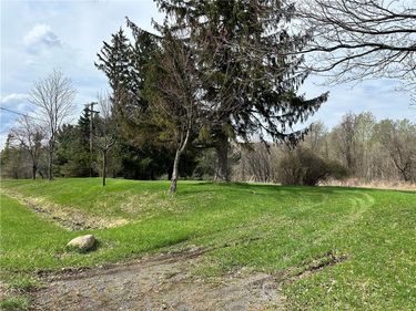3965 State Route 436 , Dansville, NY 14437