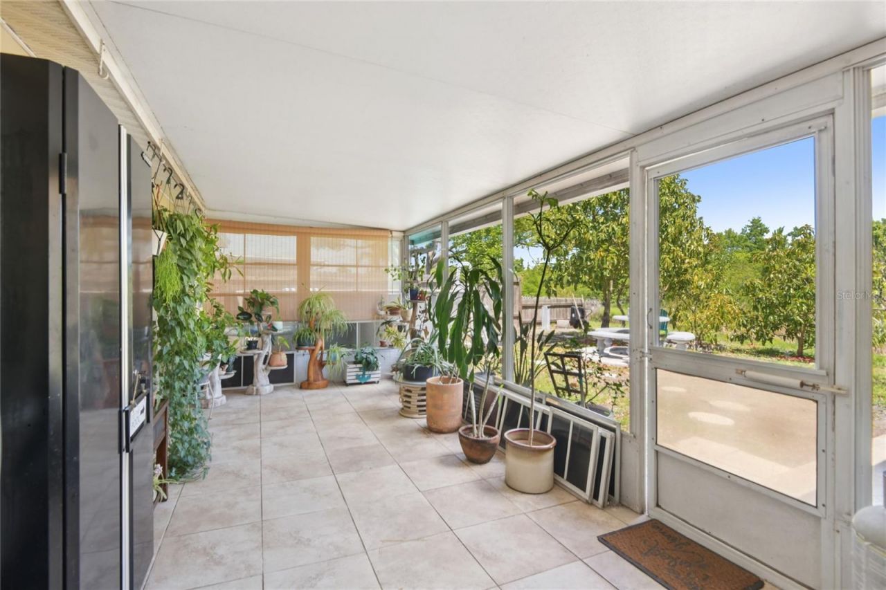 1714 Springdale Drive, Holiday, FL 34691 Photo