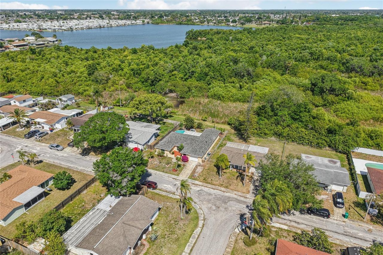 1714 Springdale Drive, Holiday, FL 34691 Photo