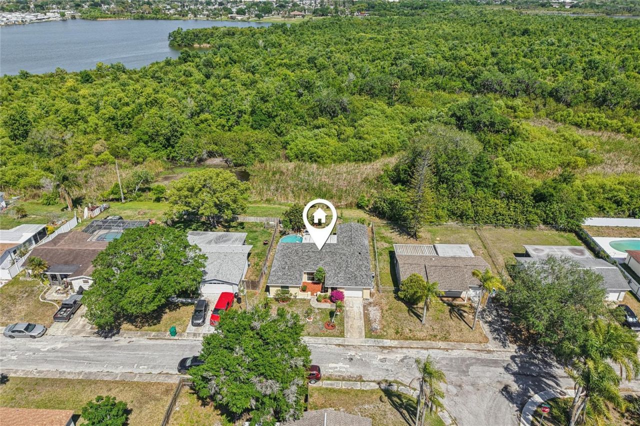 1714 Springdale Drive, Holiday, FL 34691 Photo