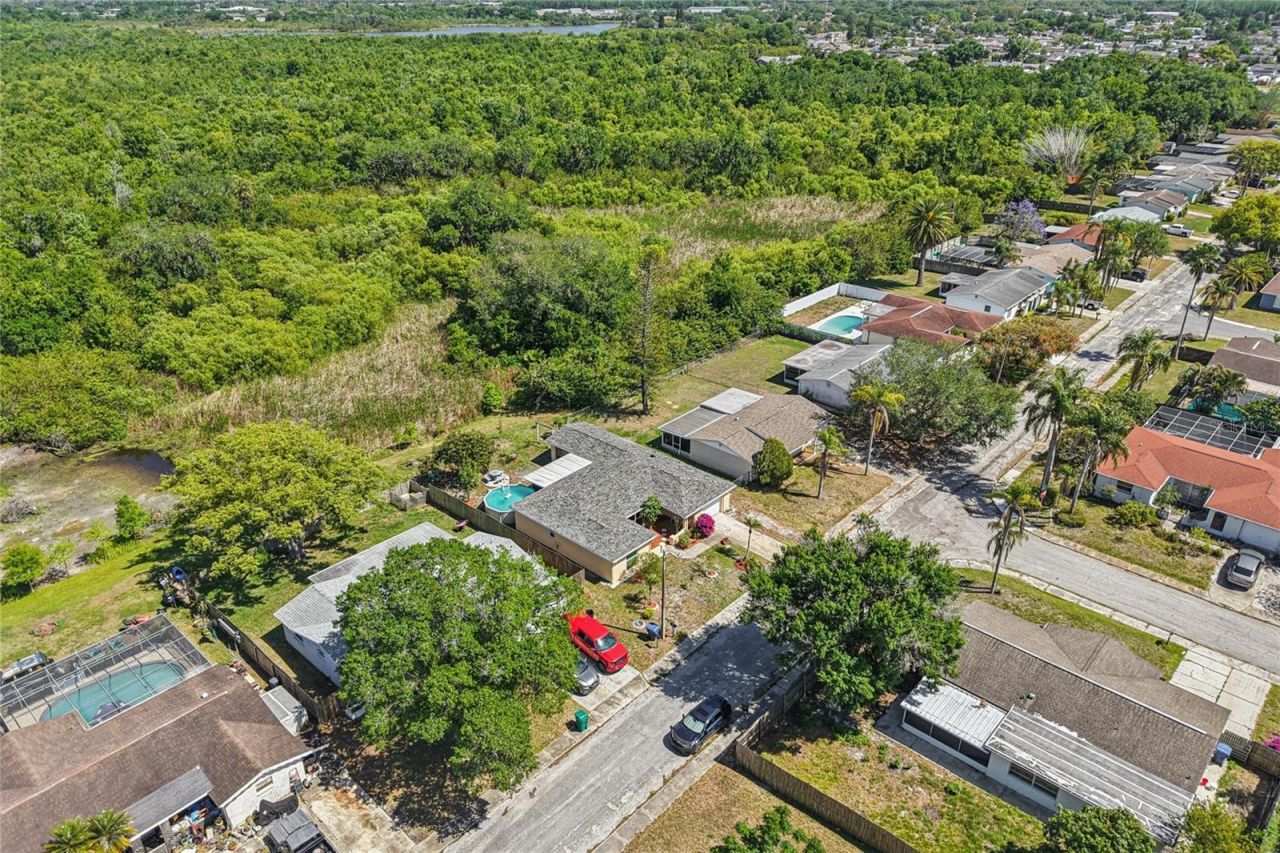 1714 Springdale Drive, Holiday, FL 34691 Photo