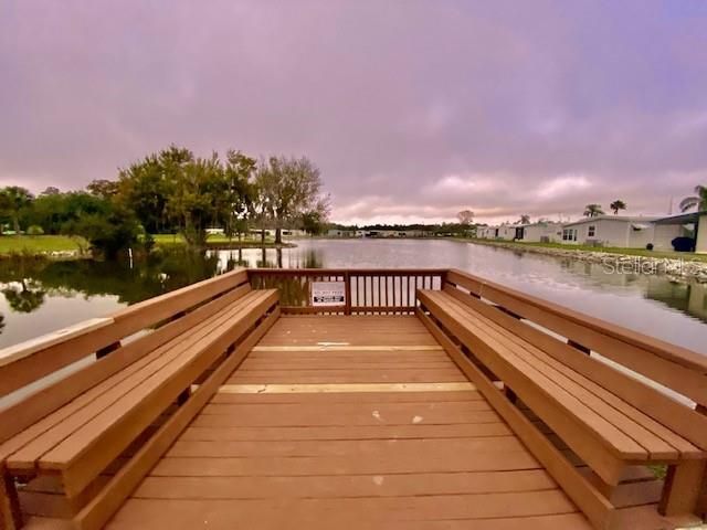 10826 Freedom Drive, Port Richey, FL 34668 Photo